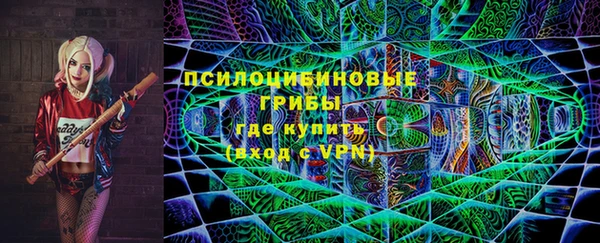 PSILOCYBIN Богородицк