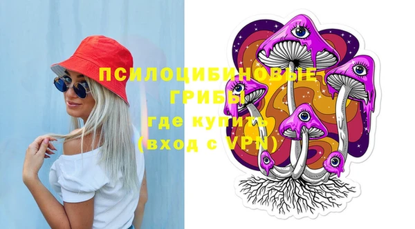 PSILOCYBIN Богородицк