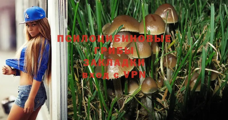 Галлюциногенные грибы Magic Shrooms  хочу   Межгорье 